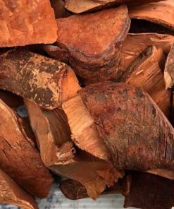 Cây Mú Từn - Tăng Cường Sinh Lý Nam Hiệu Quả